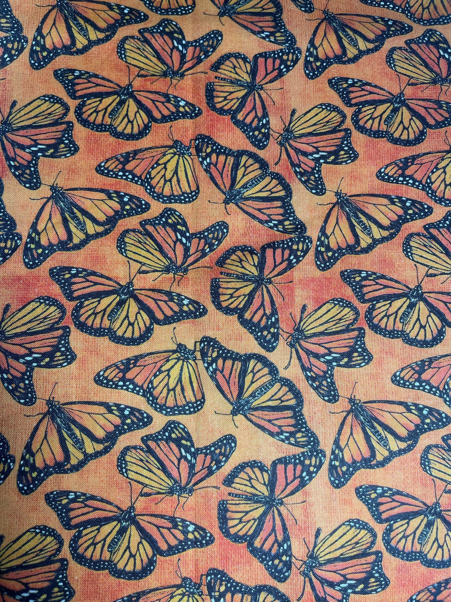Monarch Butterflies